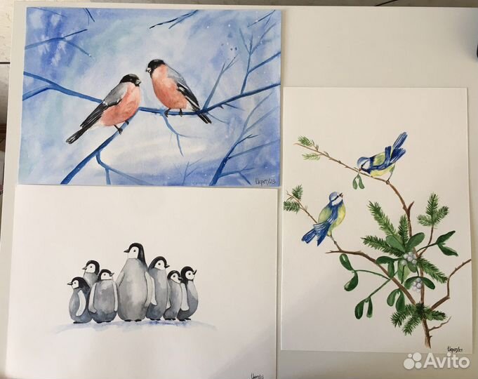 Этюды акварелью птицы: Синицы, снегири и др