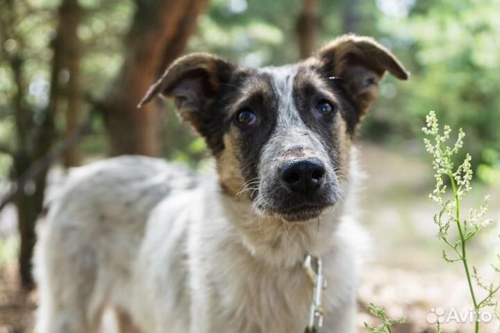 Я-Мартин и у меня спортиная фигура