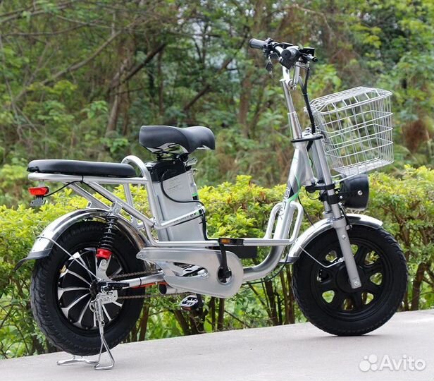 Электро Транк Монстр PRO (R16FAT 48V 500W)