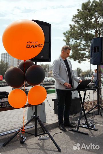 Диджей на праздник