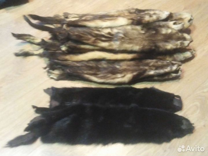 Шкуры животных