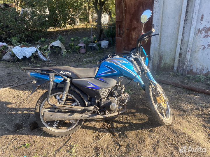 Alpha rs 12
