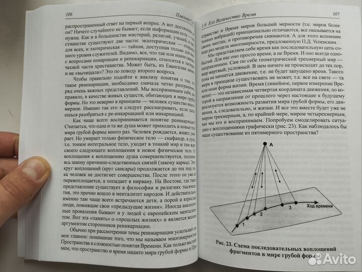 «Полевой гиперболоид Земли» С. Н. Павлова