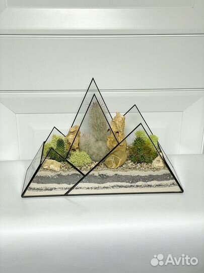 Флорариум кактусы горы подарок букет цветы