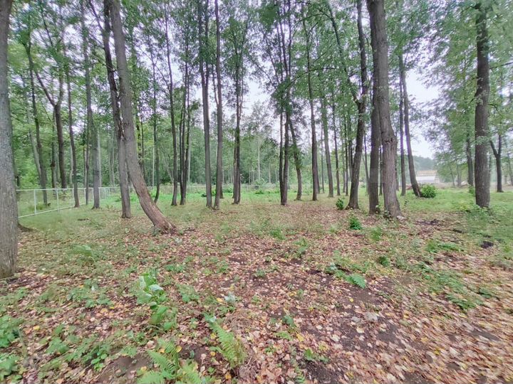 Участок 10 сот. (ИЖС)