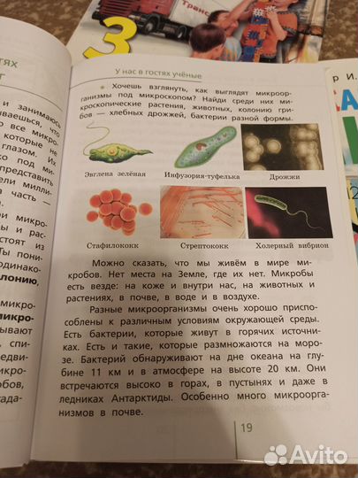 Окружающий мир 3/4 класс. Учебник. Гин