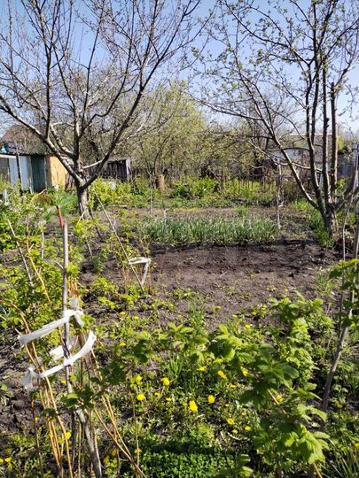 Дача 20 м² на участке 4 сот.