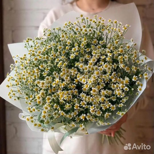 Букет из ромашек 11 21 31 41 51