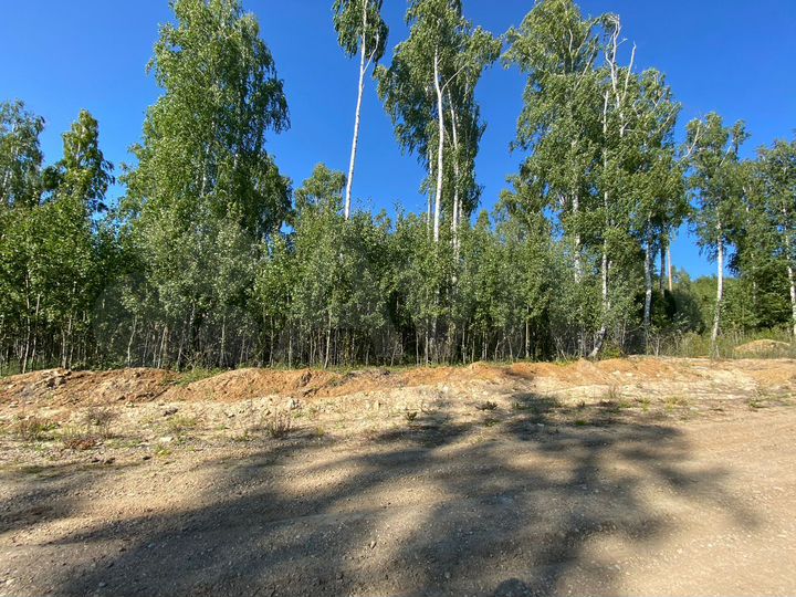 Участок 8 сот. (СНТ, ДНП)