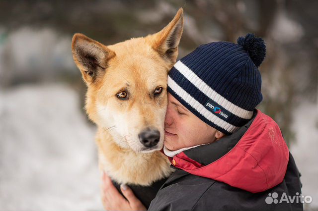 Большунов. Нуждается в своём человеке