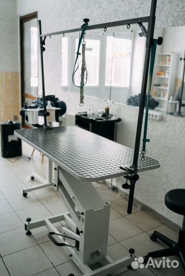 Передержка домашних животных