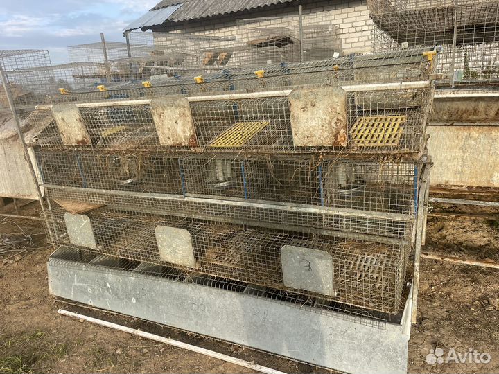 Клетки для кроликов