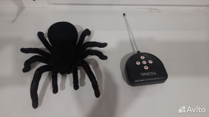 Тарантул на пульте