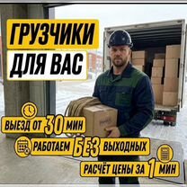 Вывоз мусора, переезды и работы в один выезд, Москва