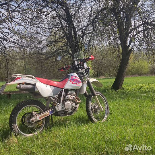 Honda XR250