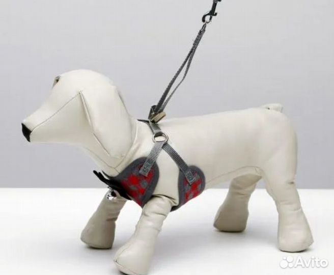 Шлейки для собак в ассортименте