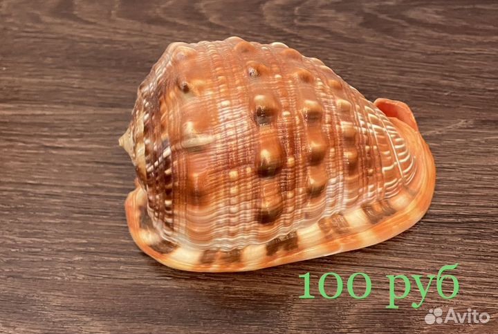 Поделки своими руками