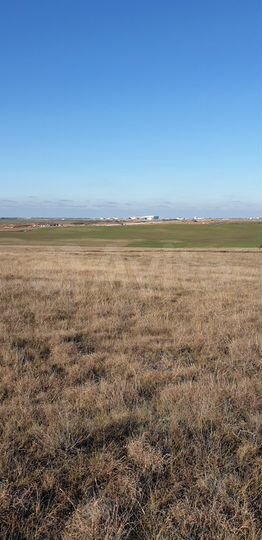 Участок 60 сот. (СНТ, ДНП)