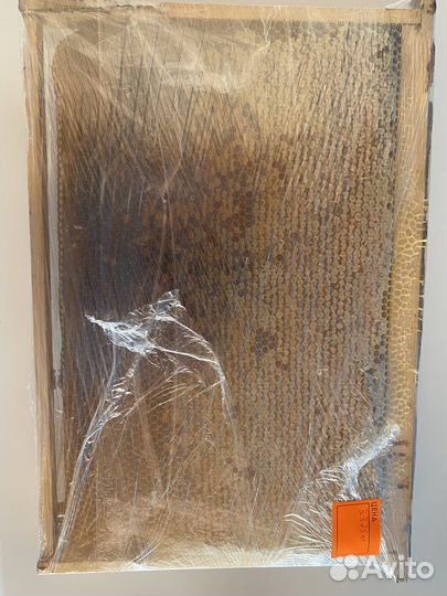 Свежий мед в сотах