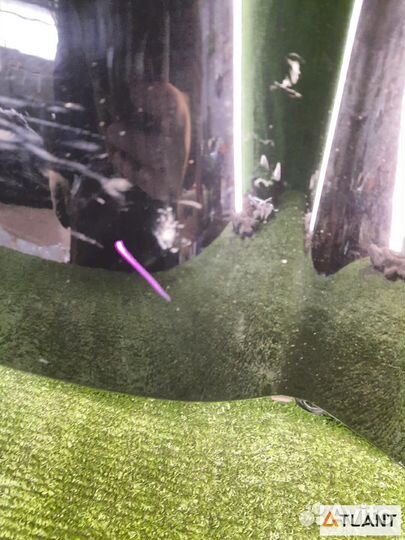 Крыло переднее левое toyota mark X