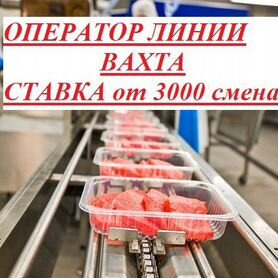 Оператор конвейерной линии Вахта/Воронеж