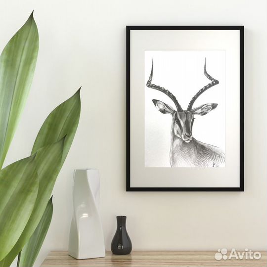 Картина графическая зарисовка импала