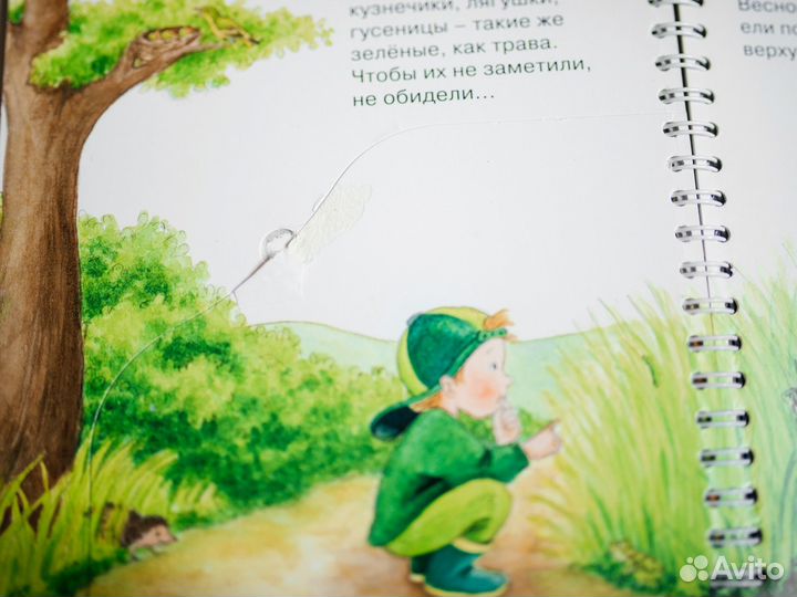 Книги Зачем Отчего Почему Пакетом