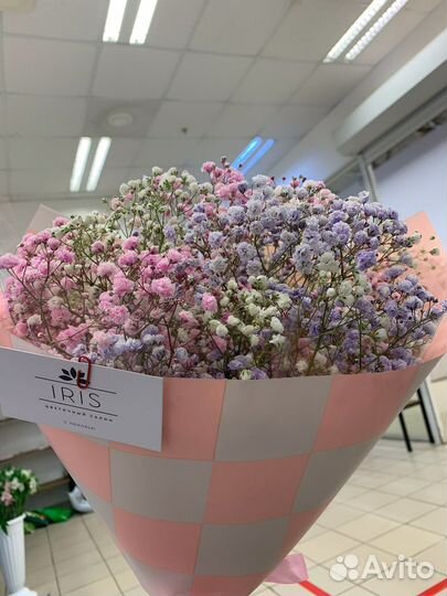 Букет из гипсафилы с бесплатной доставкой