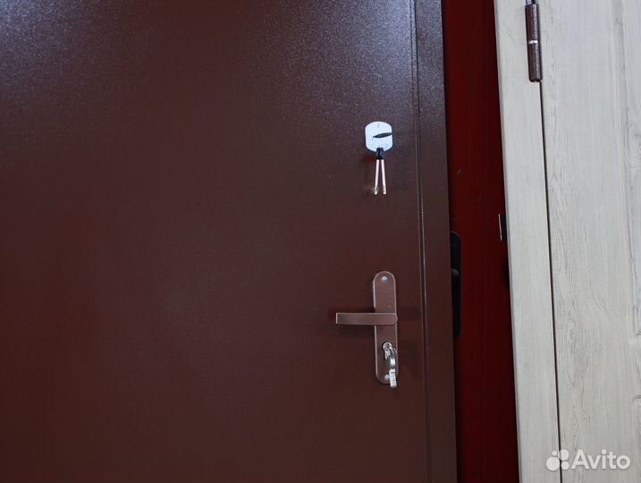 Дверь входная металлическая в квартиру