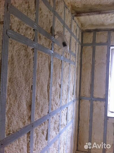 Утеплитель напыление пенополиуретан от 100м2