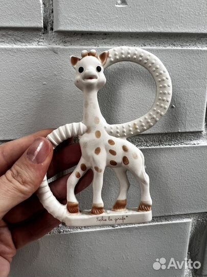 Грызунок pigeon vulli