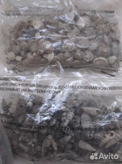 Наборы для творчества:фонарики, каштаны ракушки