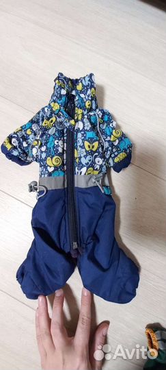 Комбинезон для собаки весна