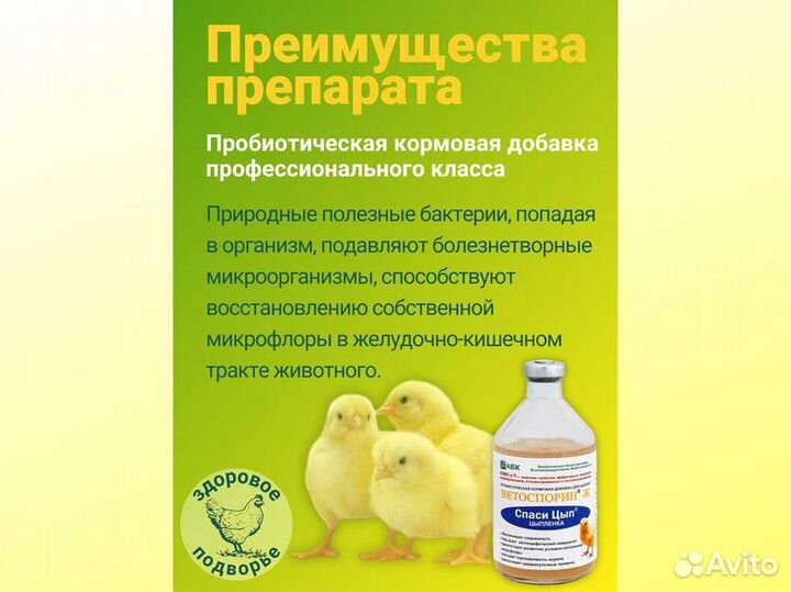 Кормовые добавки для домашней пиццы