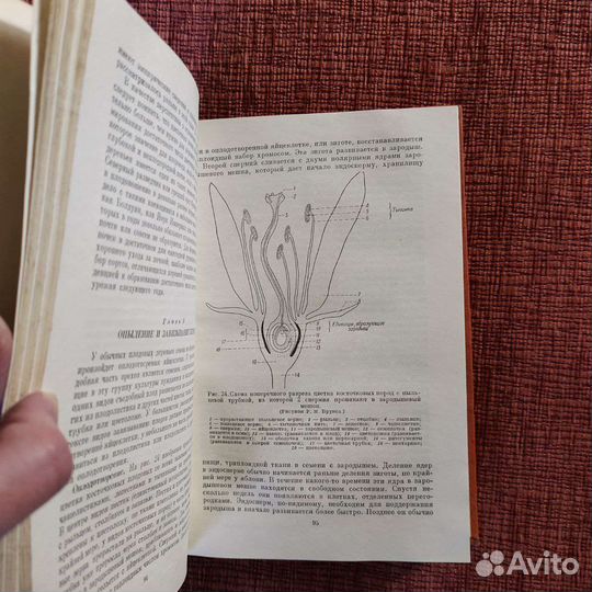 Книга У. Чендлер Плодовый сад, 1960 г, СССР