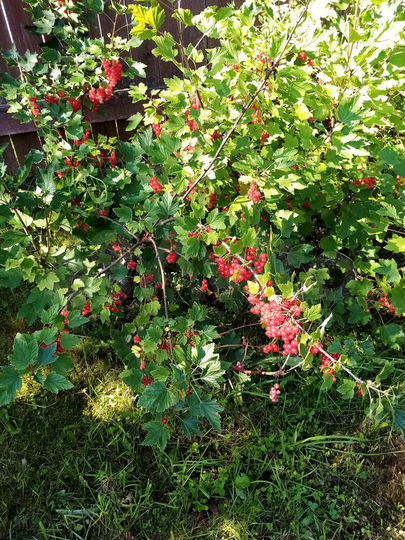 Дом 83 м² на участке 10 сот.