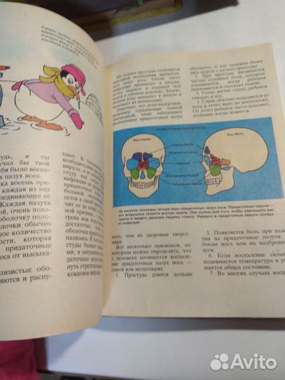 Книга редкая Расти здоровым Ротенберг