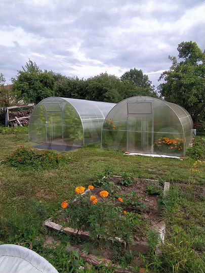 Участок 10,8 сот. (СНТ, ДНП)