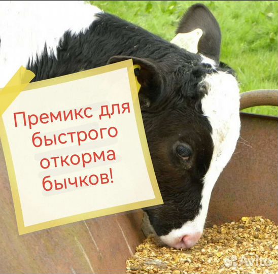 33521G Премикс для быстрого откорма бычков