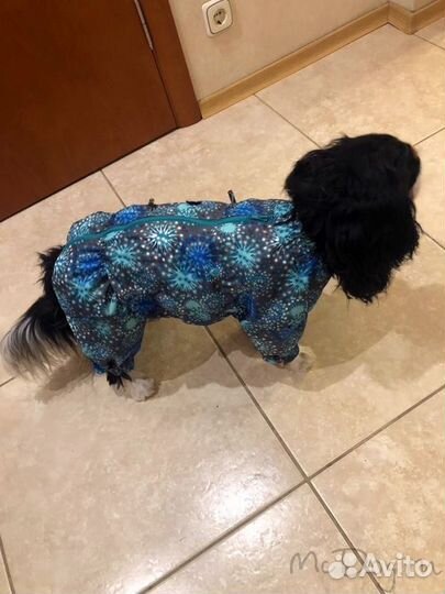 Одежда для собак мелких и средних пород McDog