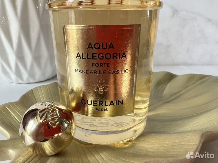 Aqua Allegoria редкости и новинки Forte распив