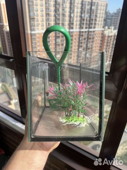 Аквариум маленький