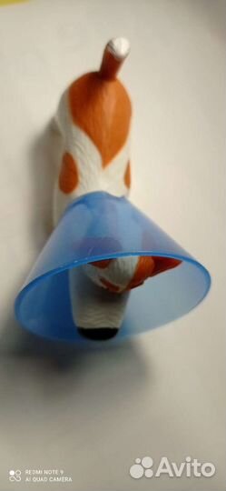 Тайная жизнь домашних животных