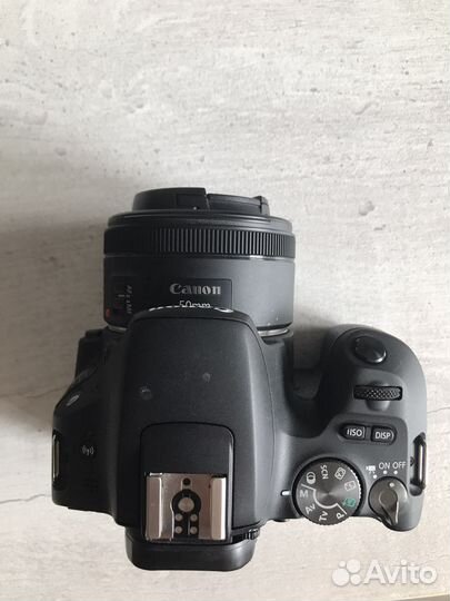 Зеркальный фотоаппарат canon eos 200d