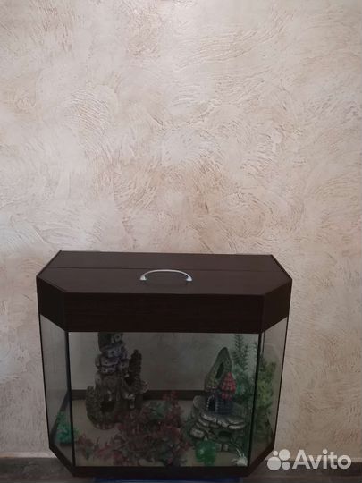 Аквариум