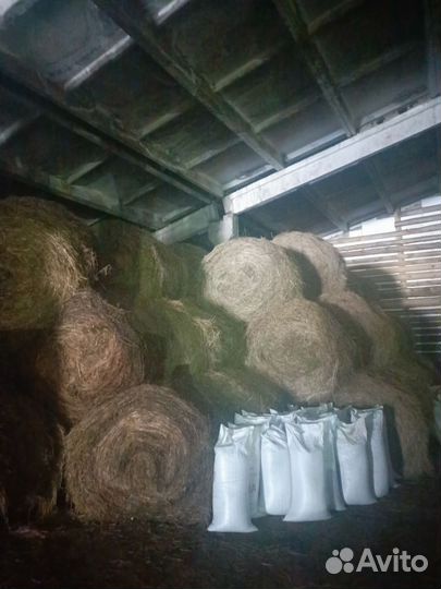 Продам сено в рулонах