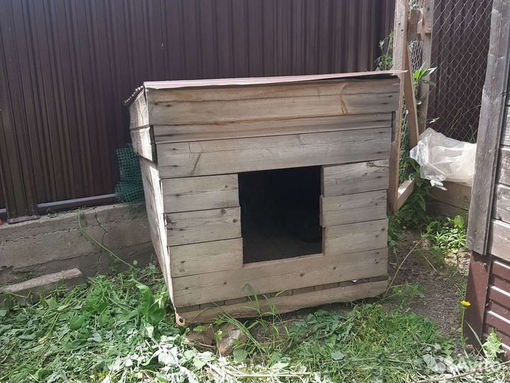 Собачья конура