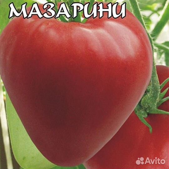 Семена помидор