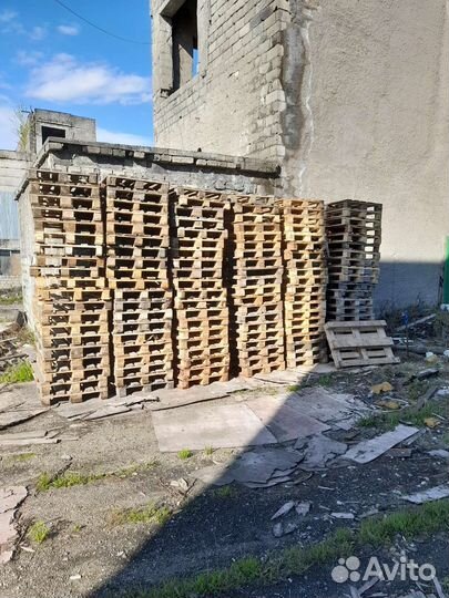 Поддоны
