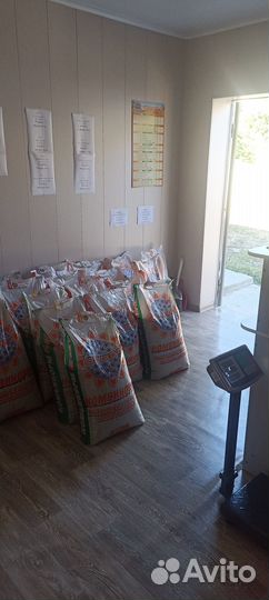 Комбикорм и зерновые